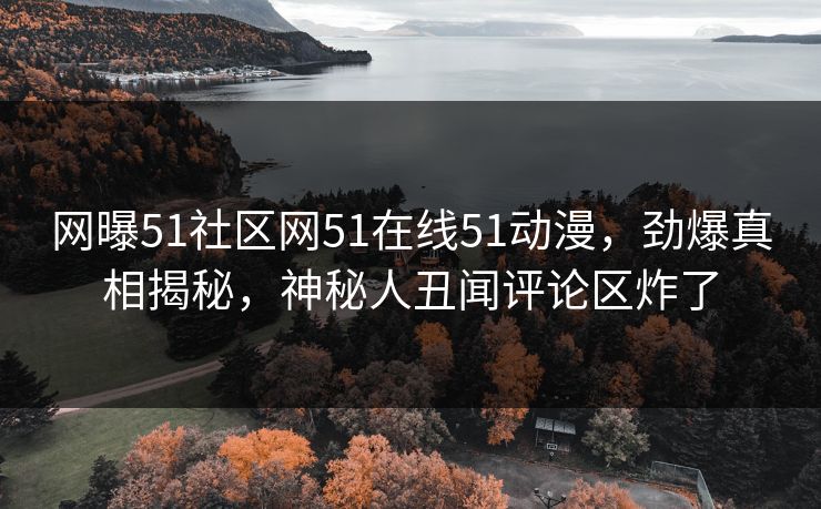 网曝51社区网51在线51动漫,劲爆真相揭秘,神秘人丑闻评论区炸了