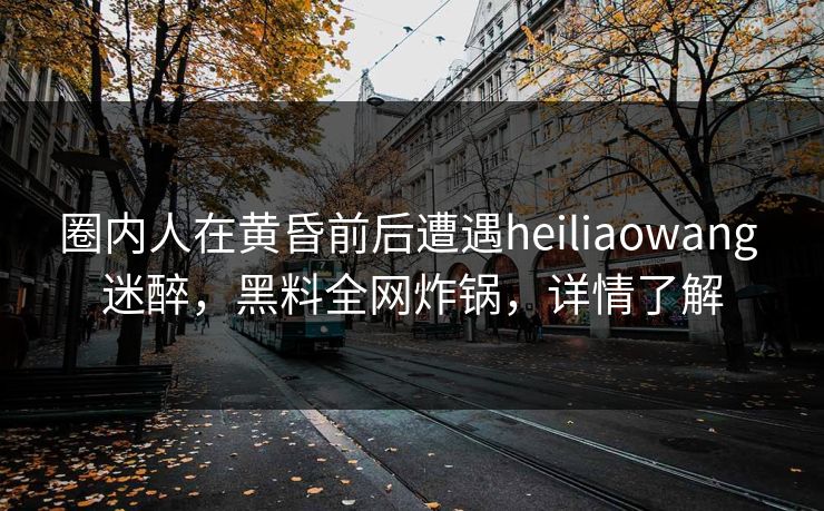 圈内人在黄昏前后遭遇heiliaowang 迷醉，黑料全网炸锅，详情了解