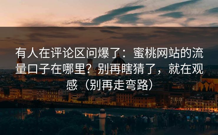 有人在评论区问爆了：蜜桃网站的流量口子在哪里？别再瞎猜了，就在观感（别再走弯路）